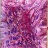 Colander Pour Pink Purple